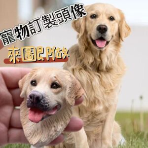ollig·手繪寵物石膏頭像狗狗貓咪冰箱貼全身3d立體彩繪高顏值車載擴香石