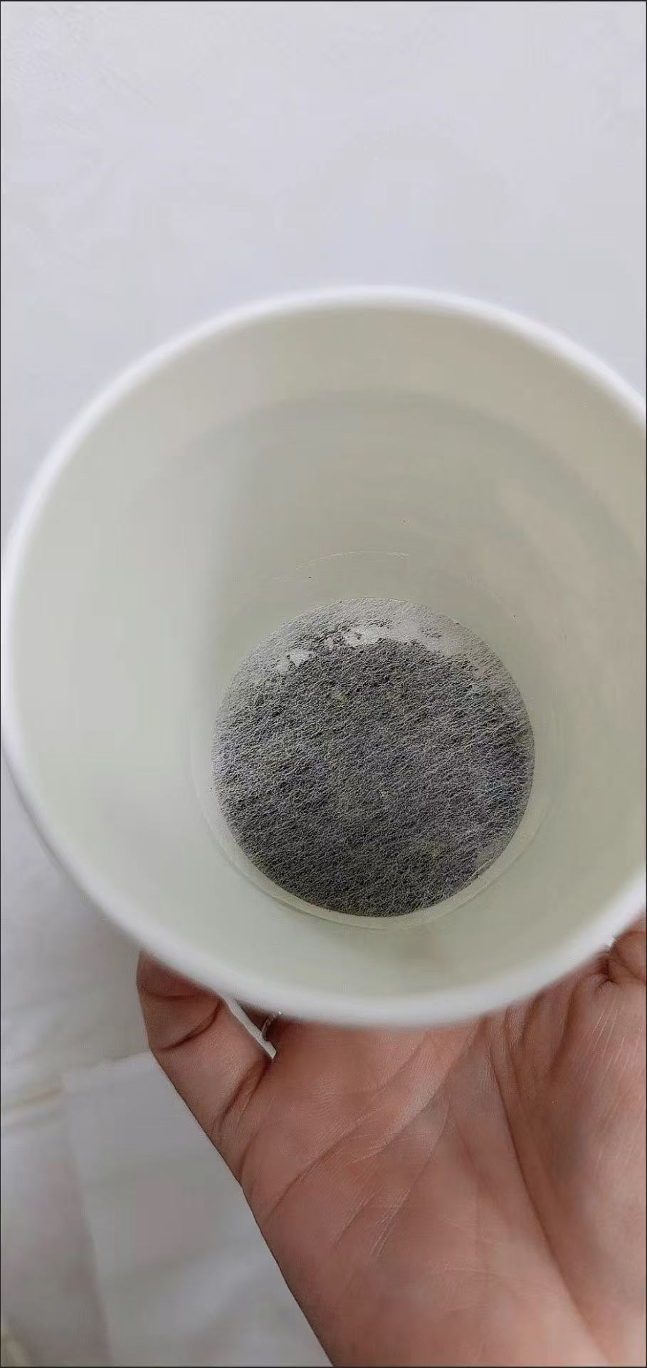 ollig·MerlinBird茉莉花茶一次性杯中茶隱茶杯自帶茶葉耐高溫速溶二合一 - 图片 9