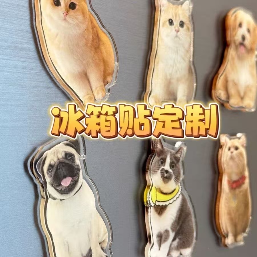 ollig·新款磁吸冰箱貼貓咪小狗寵物定制可愛diy照片人物訂做定制文創 - 图片 2