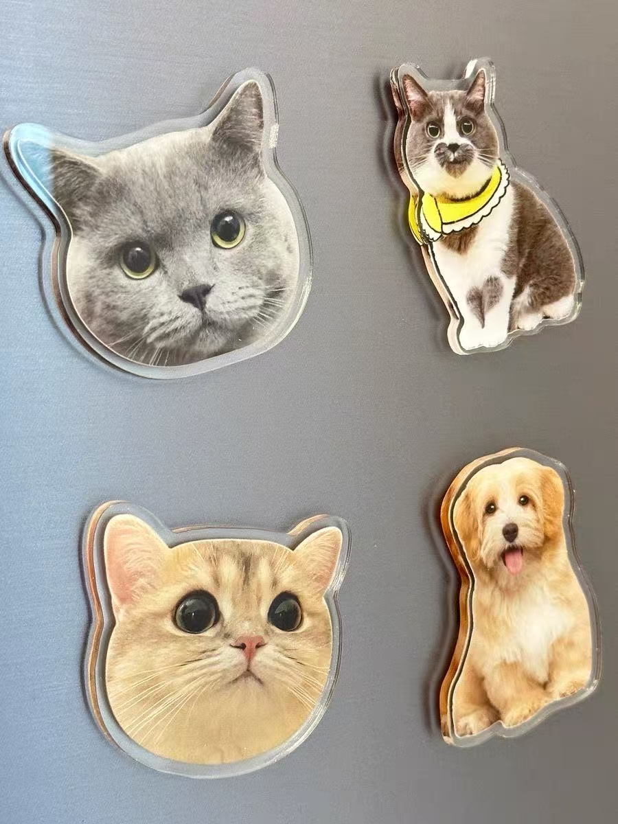 ollig·新款磁吸冰箱貼貓咪小狗寵物定制可愛diy照片人物訂做定制文創 - 图片 3