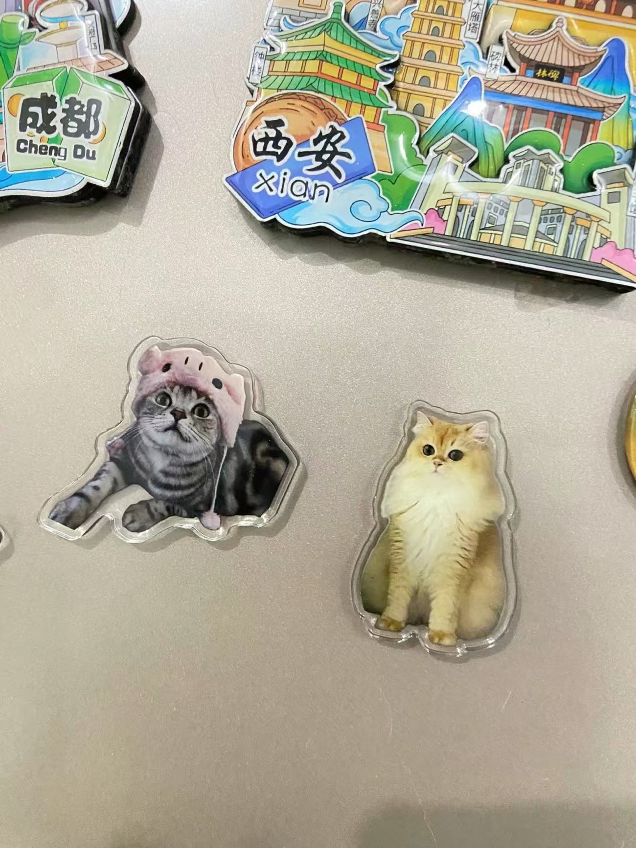 ollig·新款磁吸冰箱貼貓咪小狗寵物定制可愛diy照片人物訂做定制文創 - 图片 9