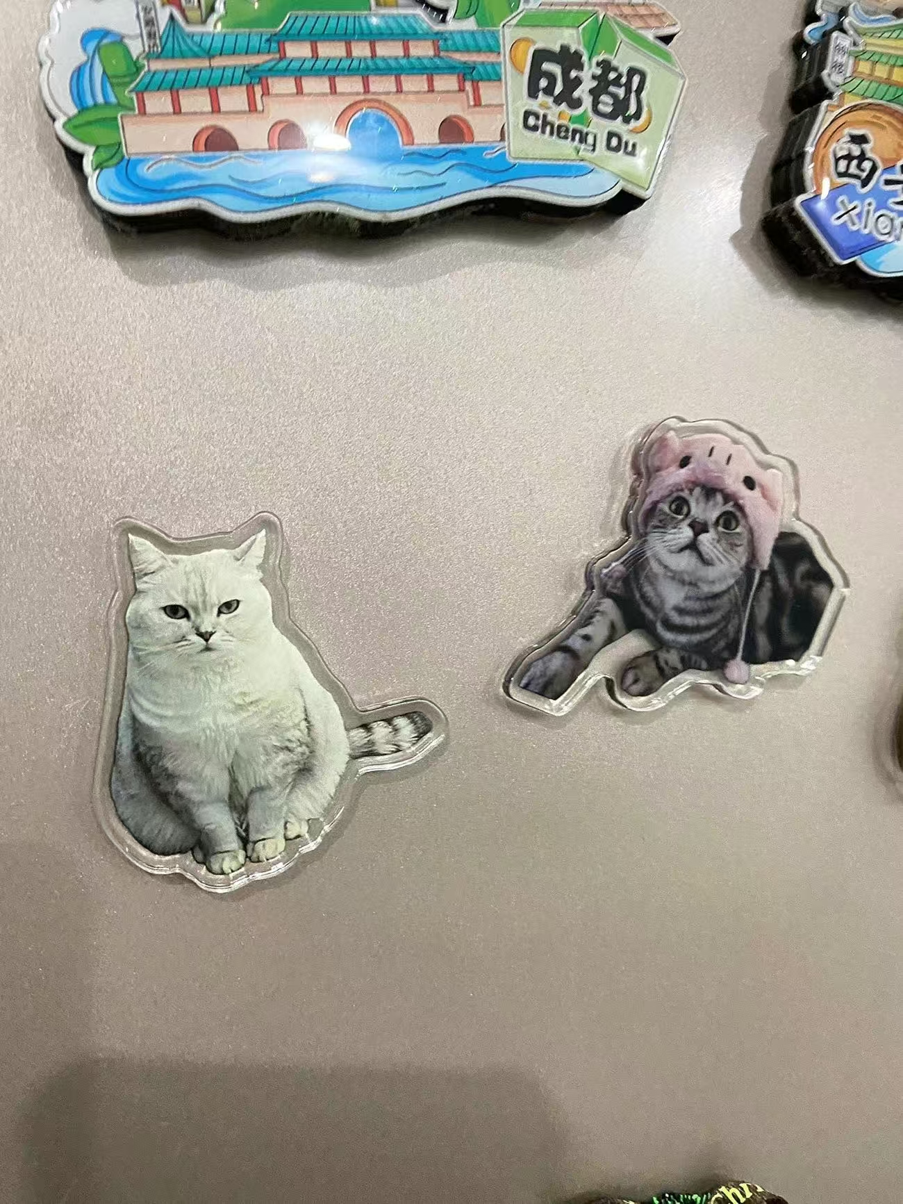 ollig·新款磁吸冰箱貼貓咪小狗寵物定制可愛diy照片人物訂做定制文創 - 图片 8