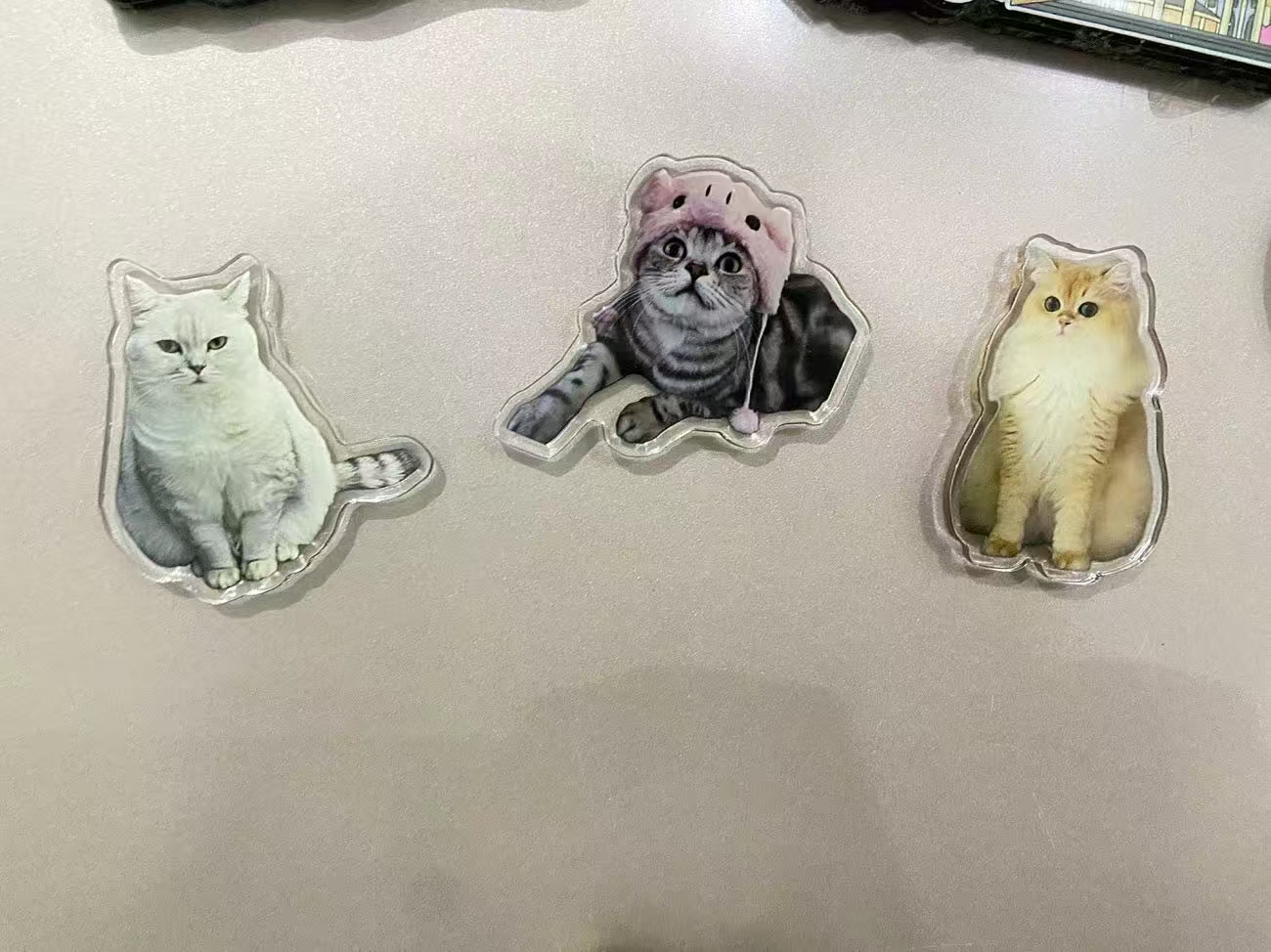 ollig·新款磁吸冰箱貼貓咪小狗寵物定制可愛diy照片人物訂做定制文創 - 图片 13