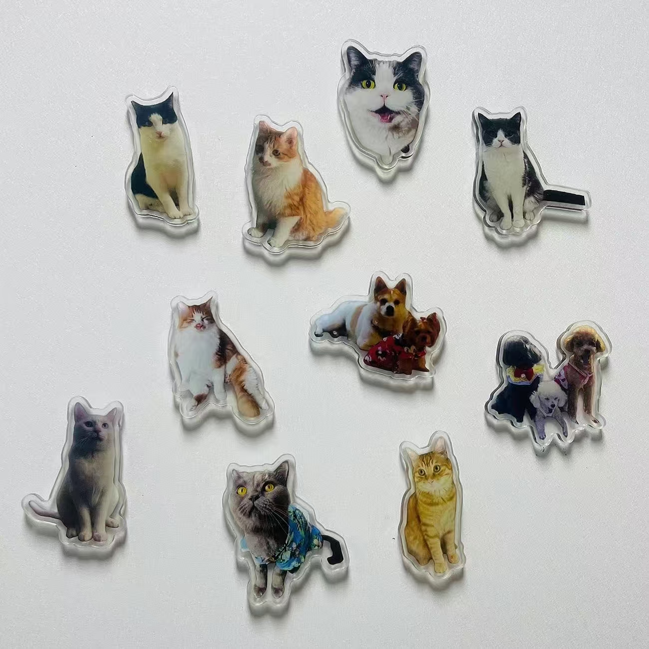 ollig·新款磁吸冰箱貼貓咪小狗寵物定制可愛diy照片人物訂做定制文創 - 图片 12