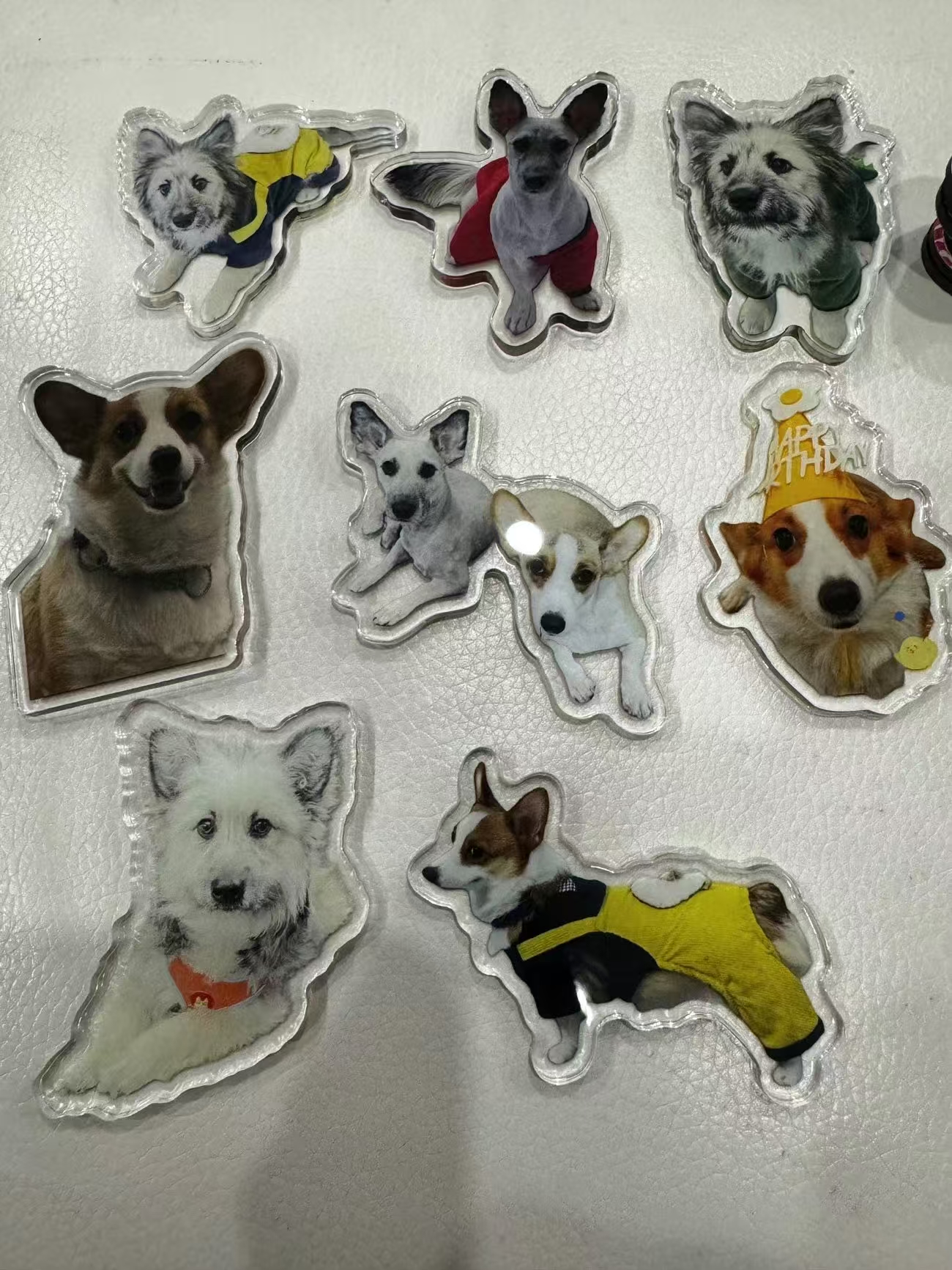 ollig·新款磁吸冰箱貼貓咪小狗寵物定制可愛diy照片人物訂做定制文創 - 图片 16