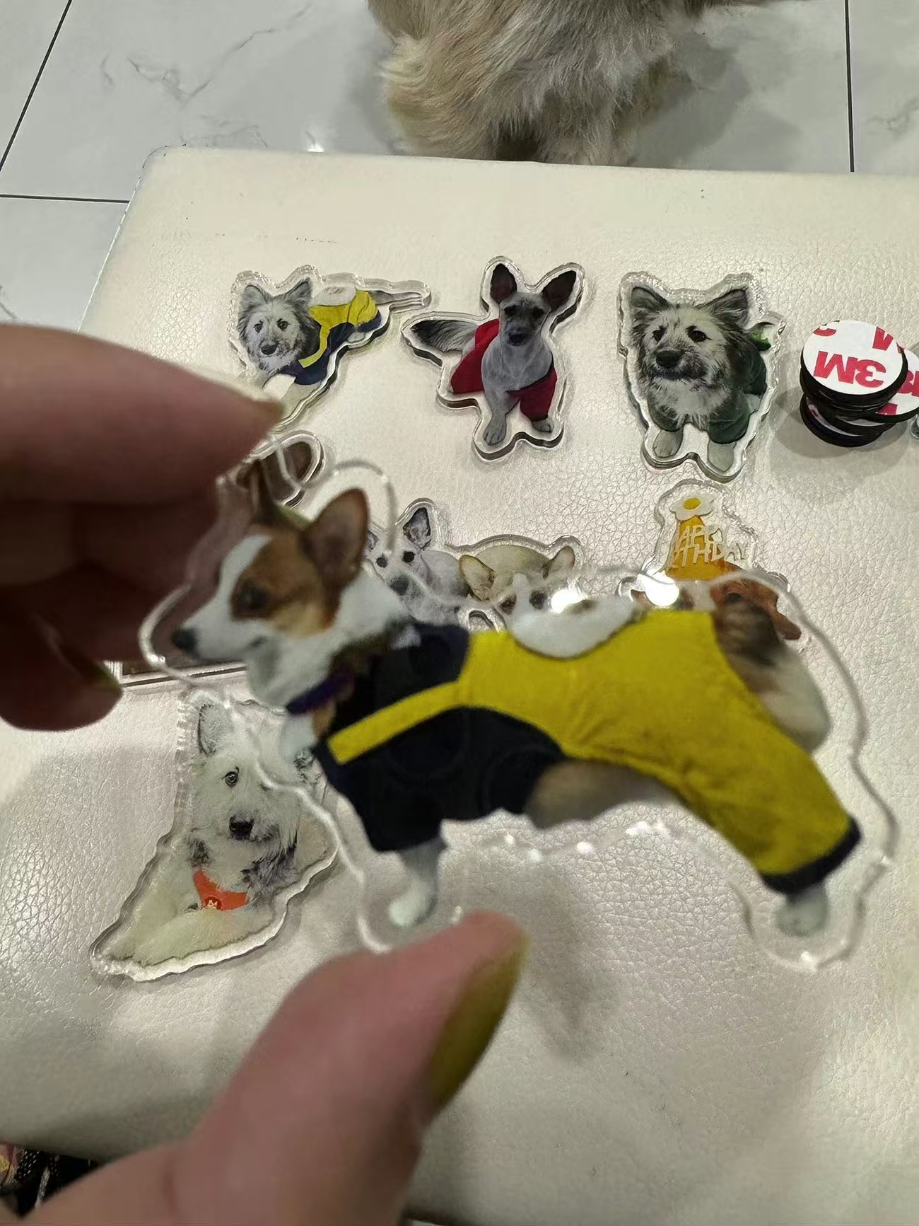 ollig·新款磁吸冰箱貼貓咪小狗寵物定制可愛diy照片人物訂做定制文創 - 图片 15