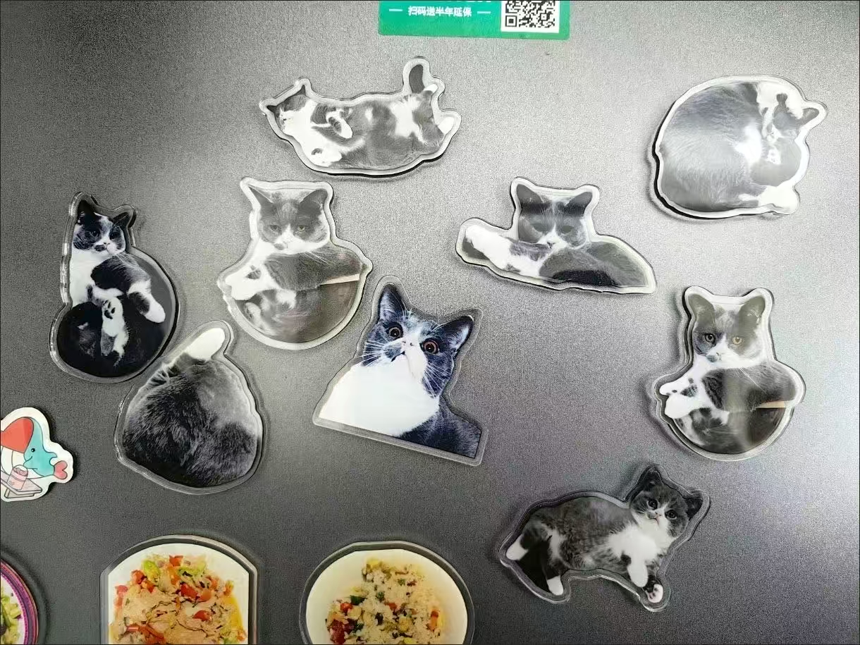 ollig·新款磁吸冰箱貼貓咪小狗寵物定制可愛diy照片人物訂做定制文創 - 图片 18