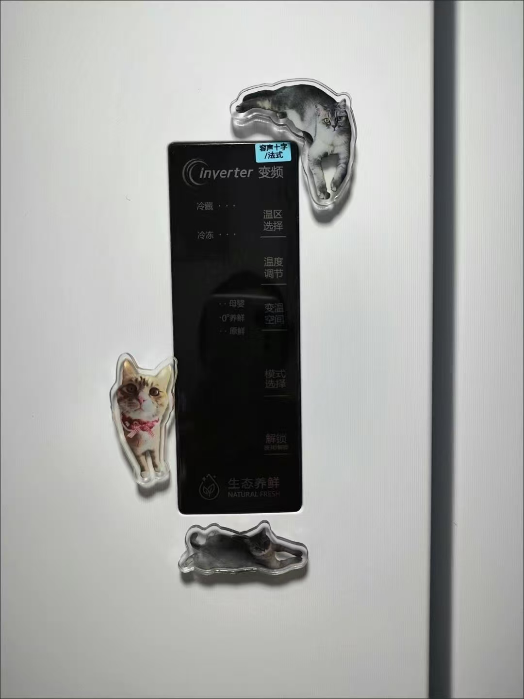 ollig·新款磁吸冰箱貼貓咪小狗寵物定制可愛diy照片人物訂做定制文創 - 图片 20